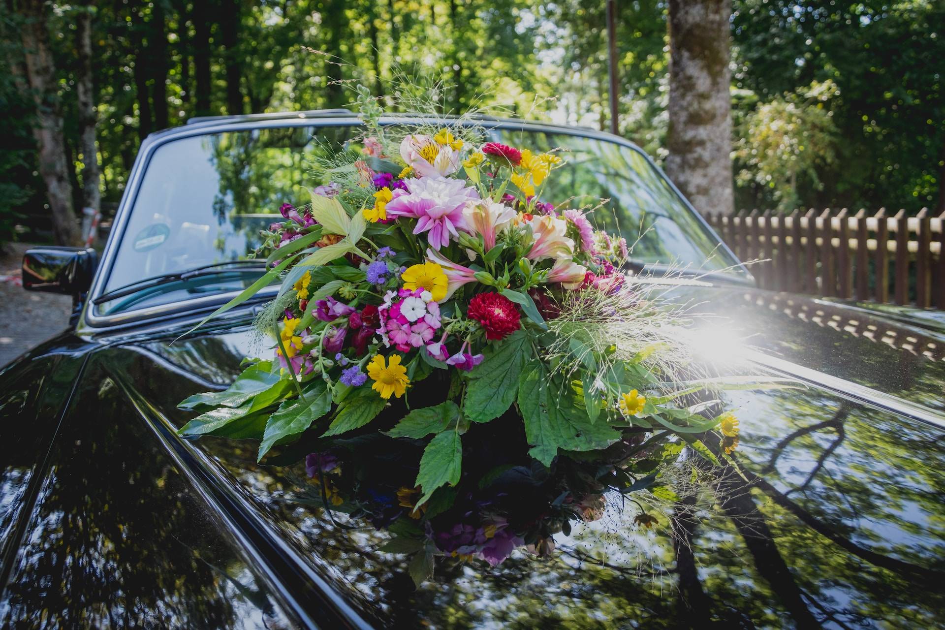 9 Best Wedding Car Decorations to Celebrate Your Love in Style